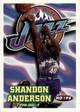 97-98 Hoops Shandon Anderson Jordan shadow card trading card