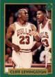 91 Tuff Stuff Jr NBA Finals Cliff Levingston #23 Jordan shadow card trading card
