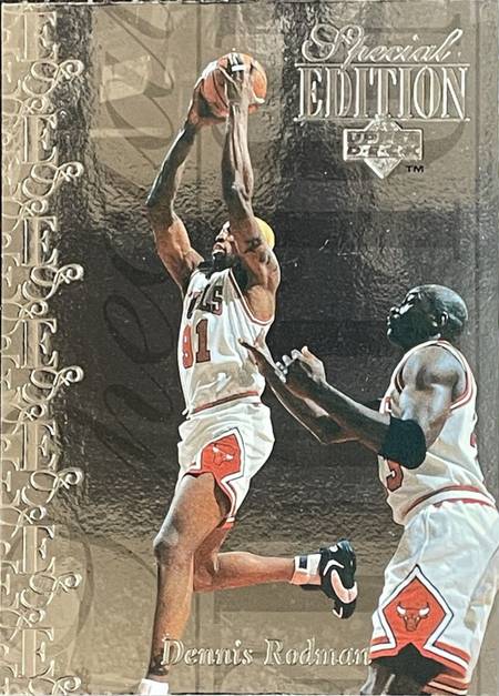 95-96 Upper Deck Special Edition Dennis Rodman Jordan shadow card
