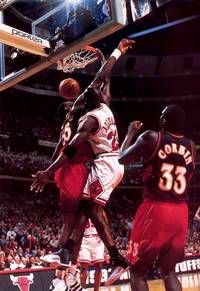 Michael Jordan cards values flying as high as the man himself! trading card
