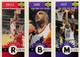 96-97 Collector's Choice Mini Panels Dennis Rodman #M14 Jordan shadow card trading card